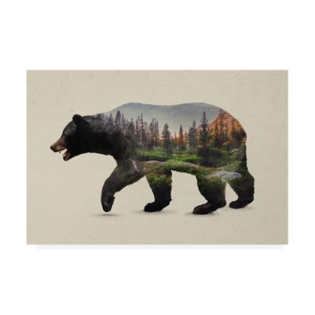 Davies Babies 'The North American Black Bear' Canvas Art,30x47